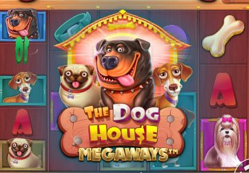 NOVOMATIC - игровой автомат онлайн от Various с RTP 97.57%